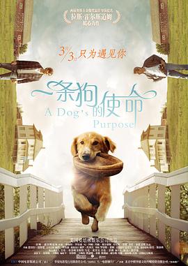 国产黄色在线看