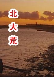 成人国产99视频在线观看