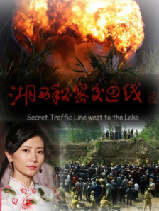 蜜臀av国内精品久久久